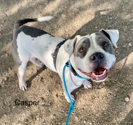 Casper